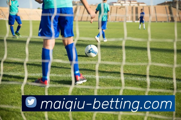 2026世界杯买球平台生态图