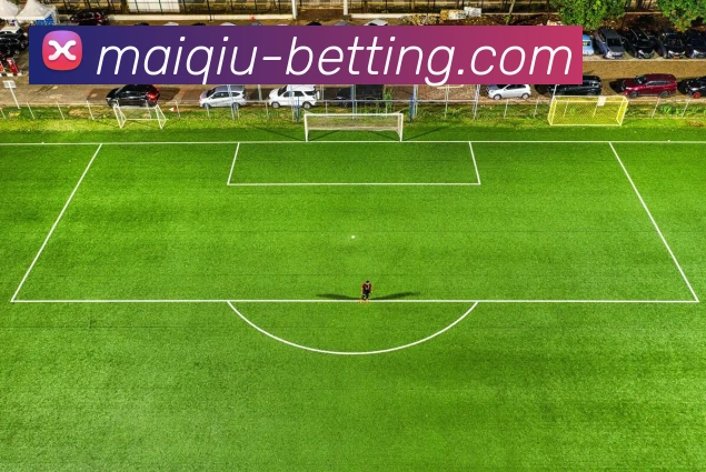 数据防护可视化